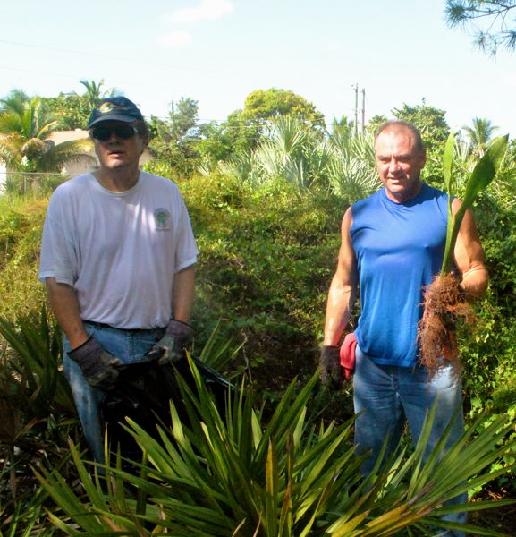 volunteers with invasive plant